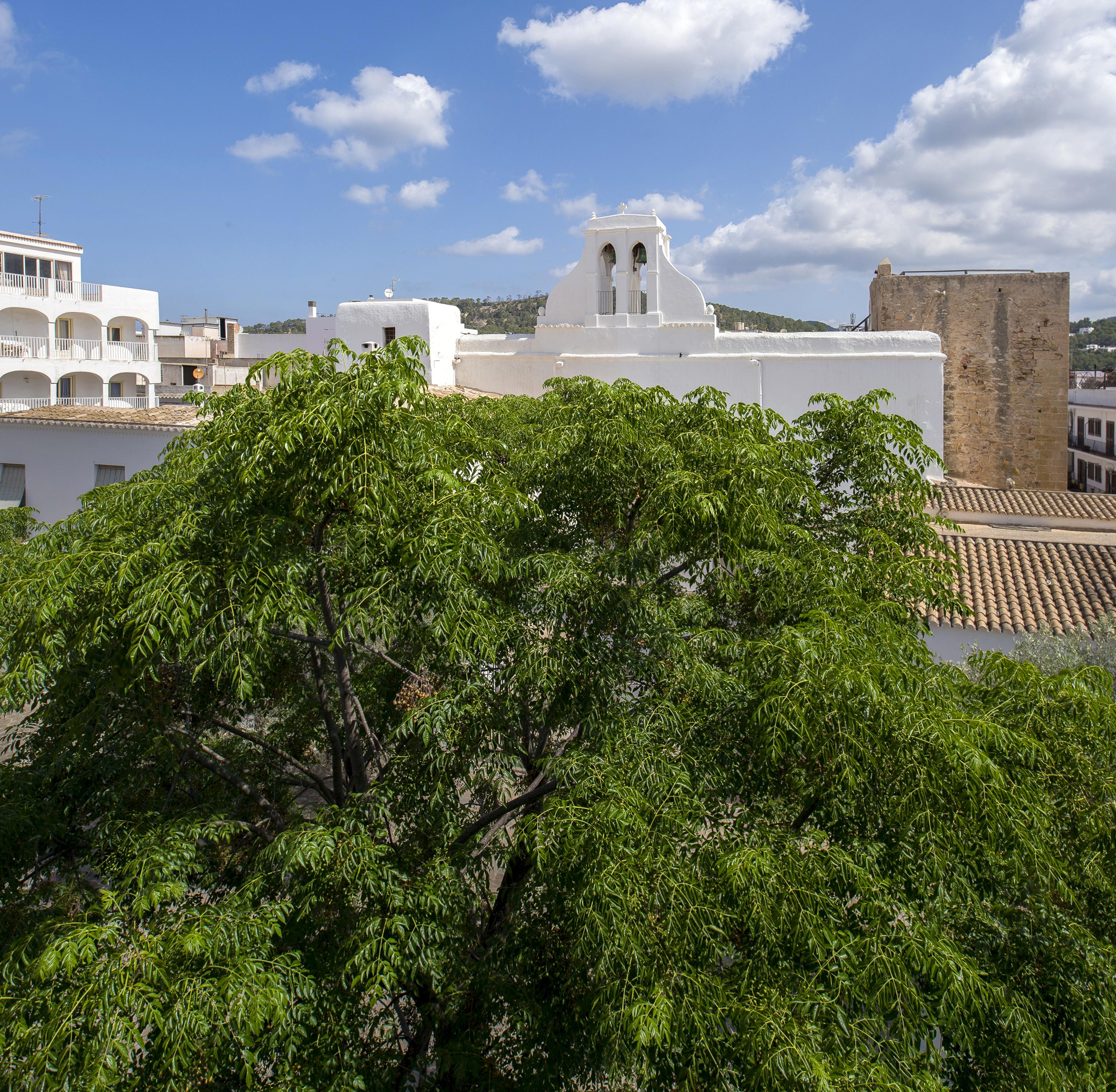 Apartamentos Tramuntana San Antonio  Exterior photo